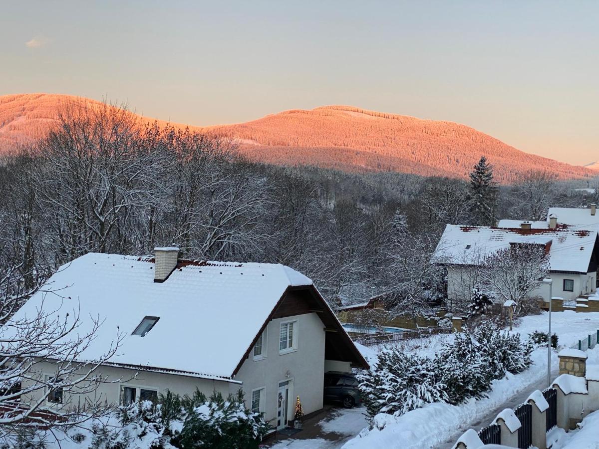 Apartman Pod Lesem Svoboda nad Upou Bagian luar foto