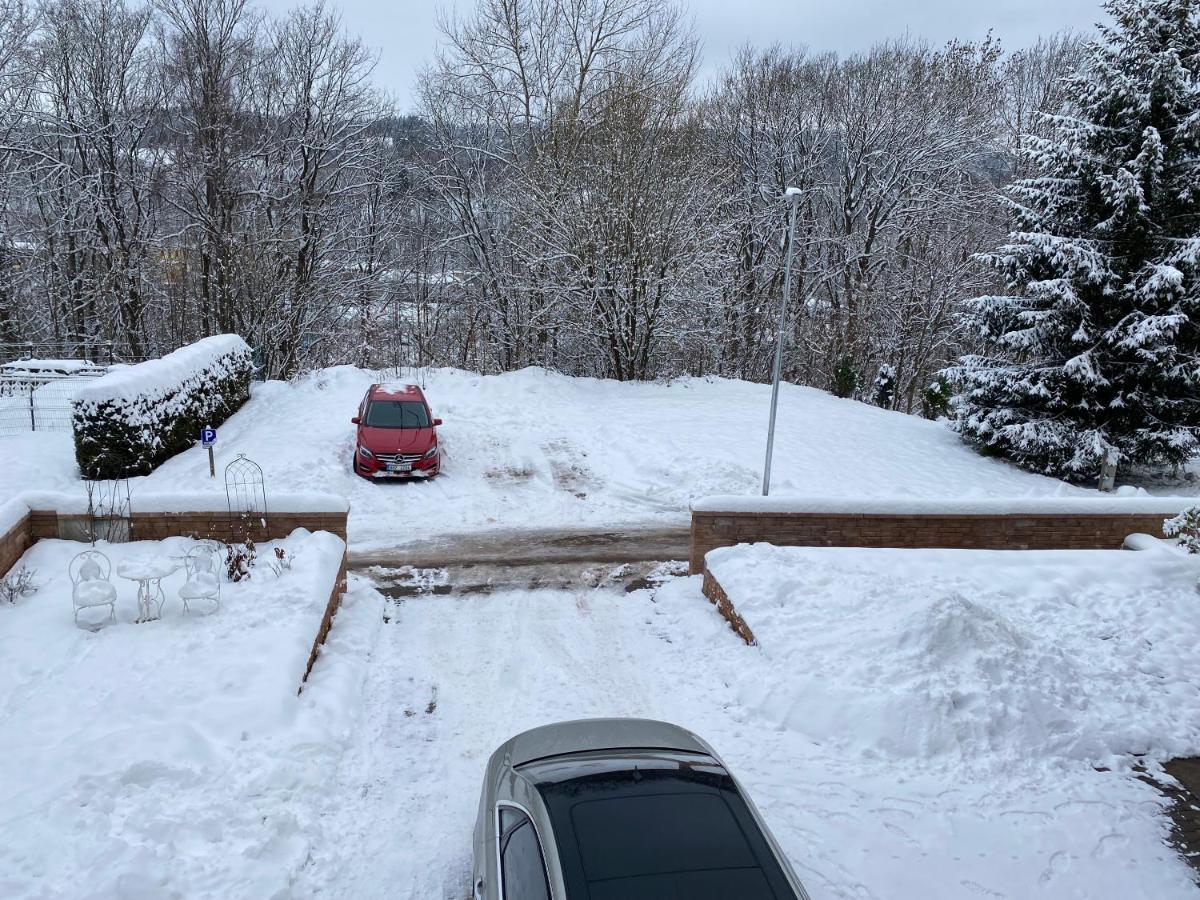 Apartman Pod Lesem Svoboda nad Upou Bagian luar foto